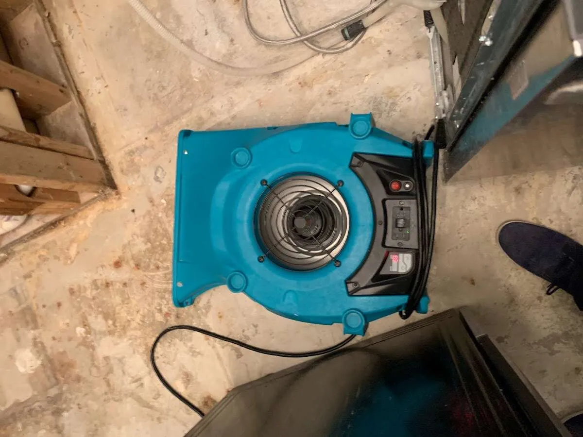 Air mover drying equipment for Mold Remediation & Removal in South Weber